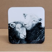 Jo McGrath Coaster FIELD MATES